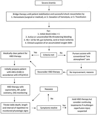 Hyperbaric oxygen therapy in the ATLS/ACLS resuscitative management of acutely ill or severely injured patients with severe anemia: a review